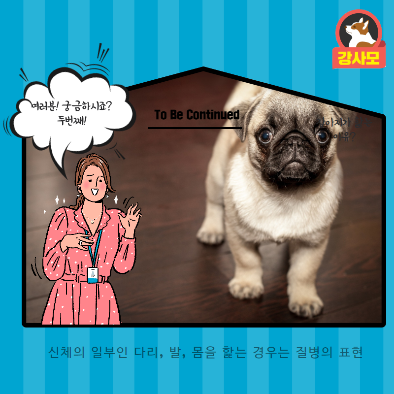 강아지가핥는이유 (3).png