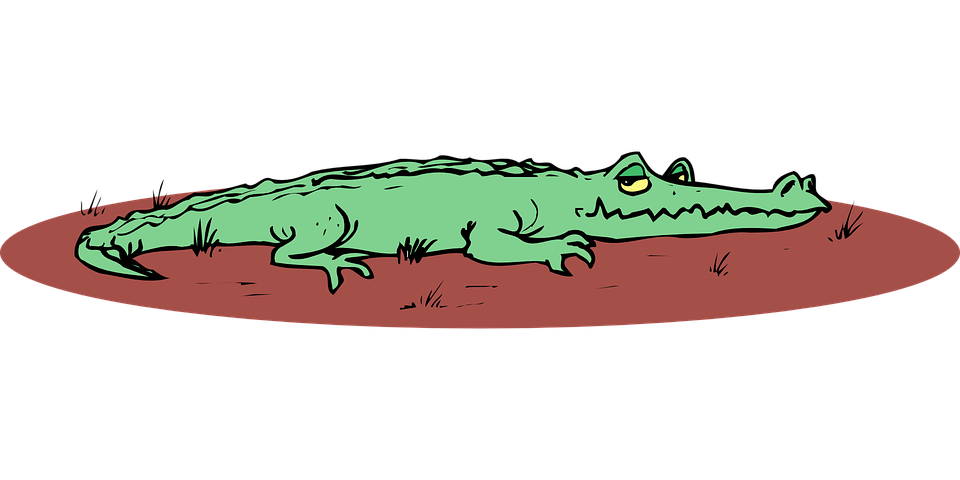 alligator-44626_960_720.png