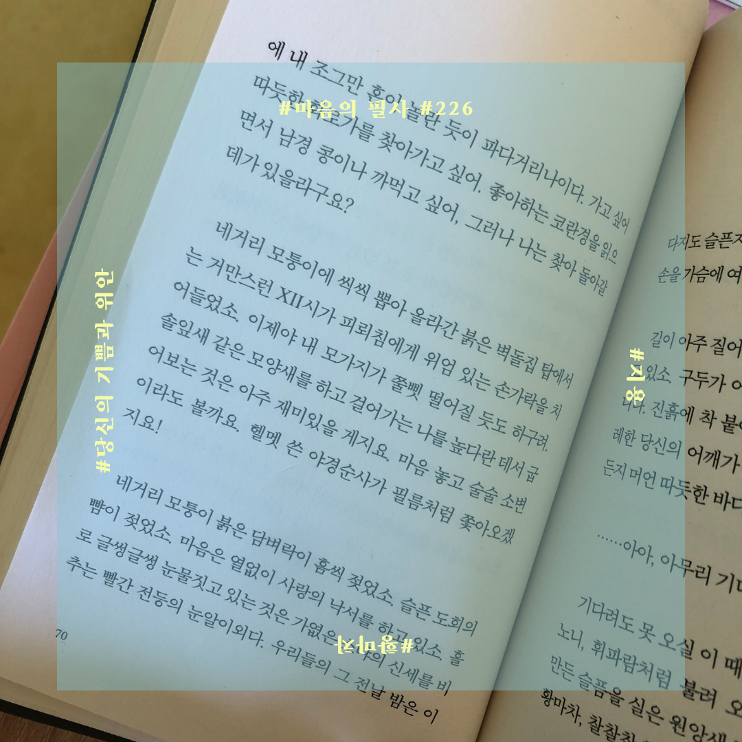 226지용황마차_인연2.png