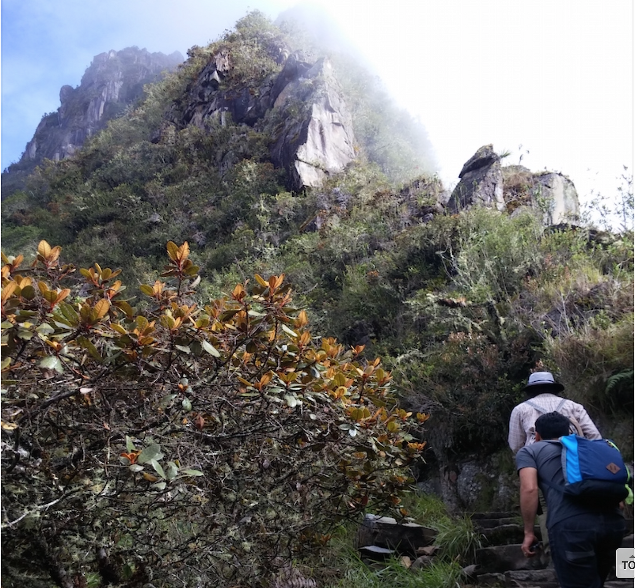 스크린샷 2017-06-03 오전 12.38.17.png