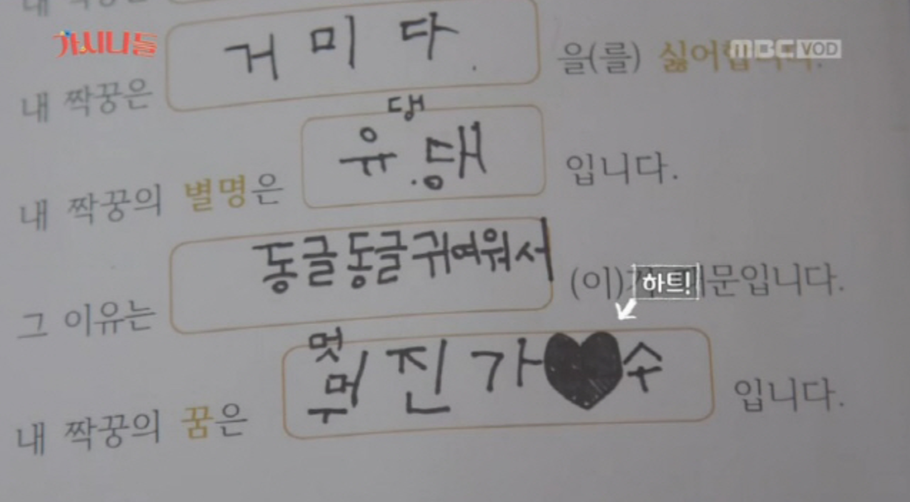 Screen Shot 2019-05-20 at 8.33.43 PM.png