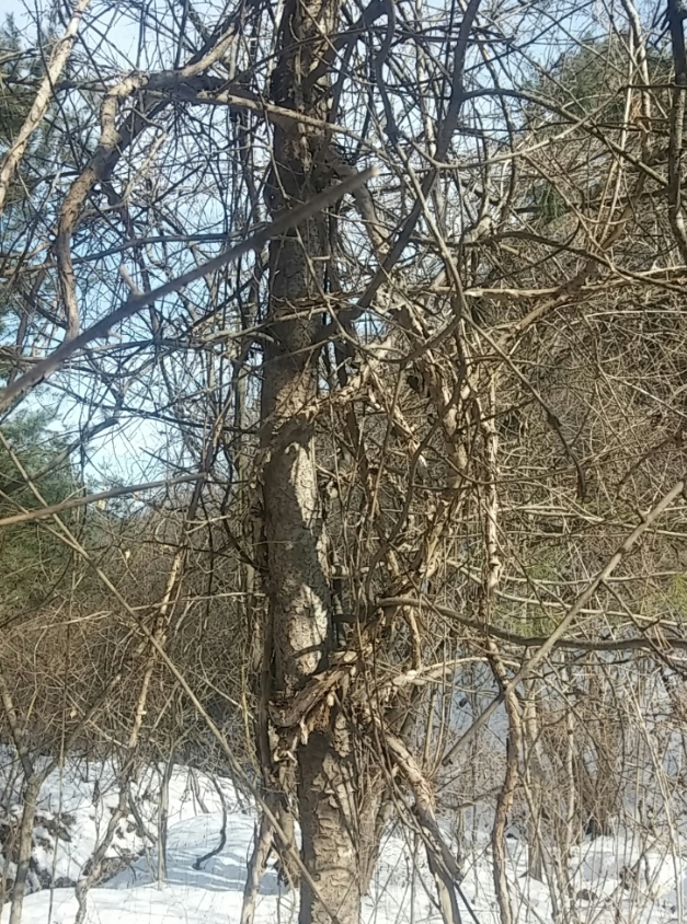 스크린샷 2025-05-07 오후 5.32.57.png