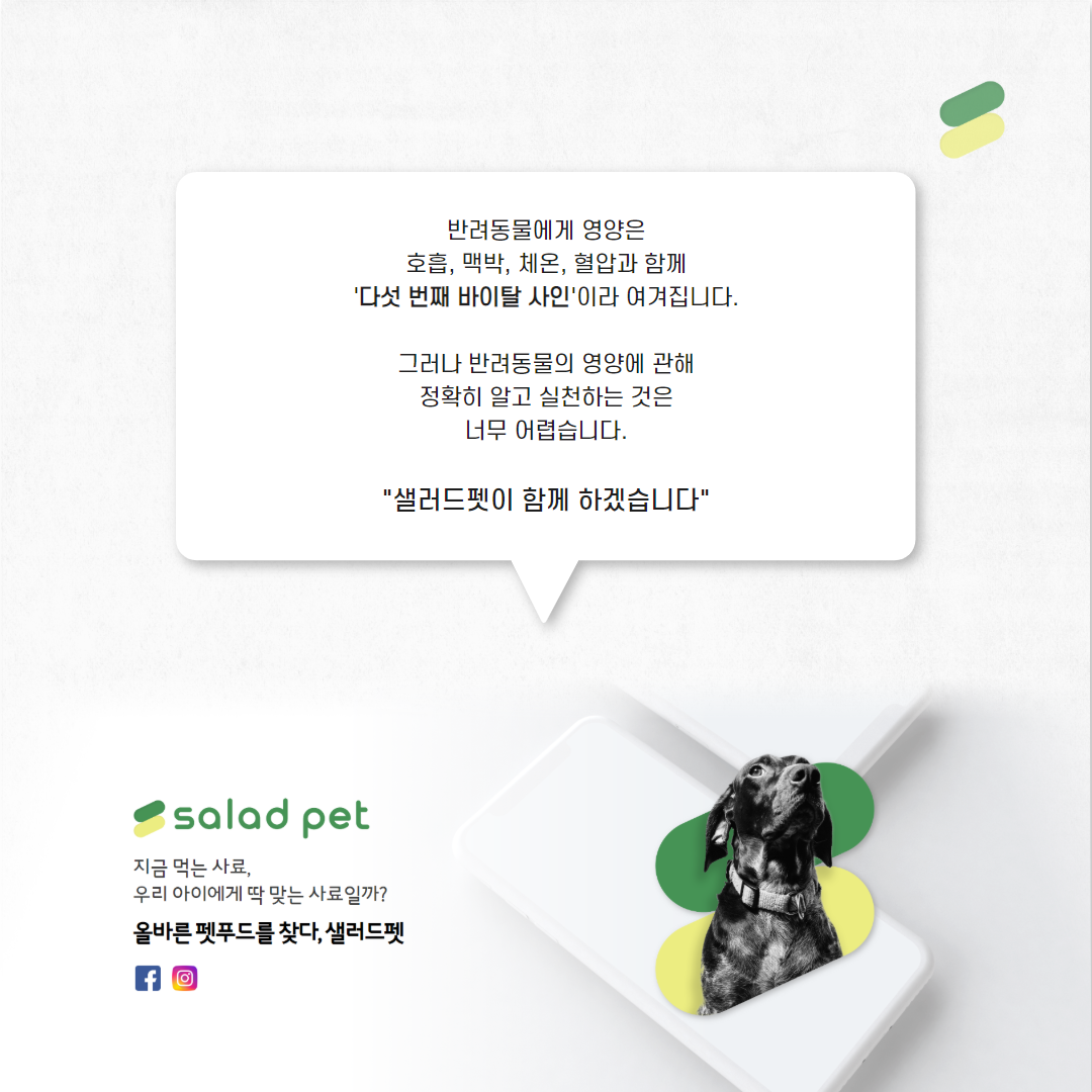 펫케어_샐러드펫.png