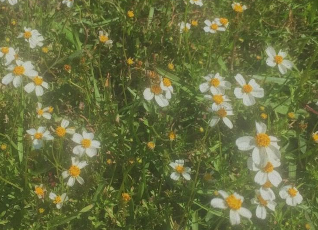 화면 캡처 2025-03-20 231346.png