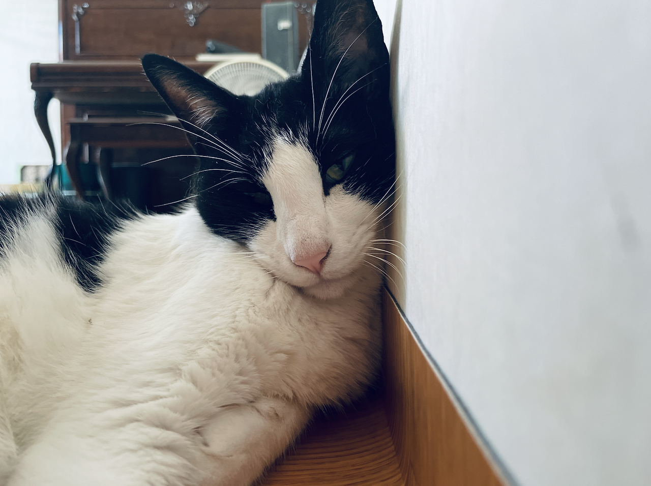 스크린샷 2023-03-18 오전 2.56.45.png