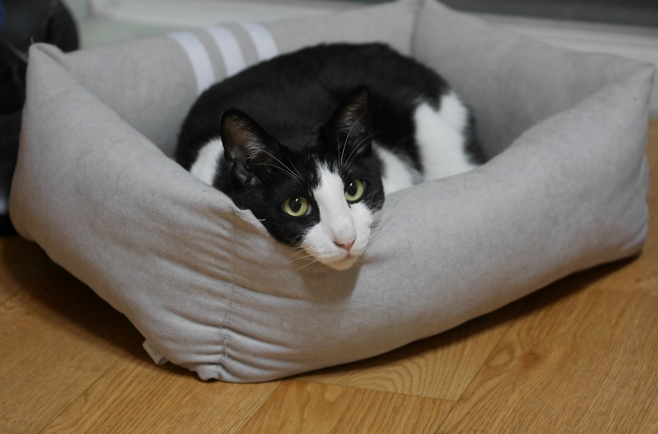 스크린샷 2023-03-18 오전 2.57.51.png