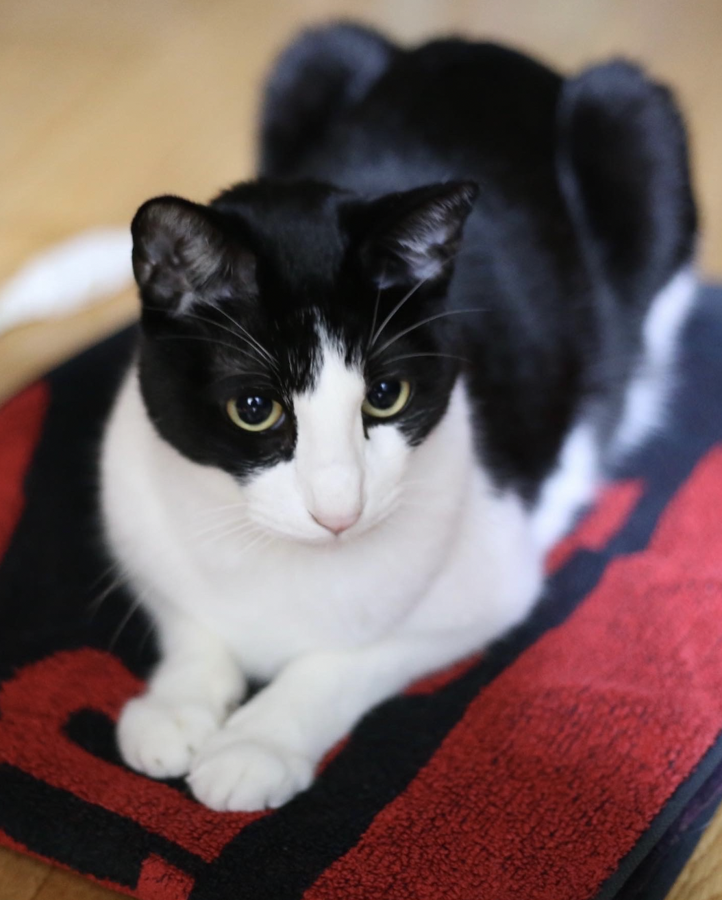 스크린샷 2023-03-18 오전 2.59.35.png