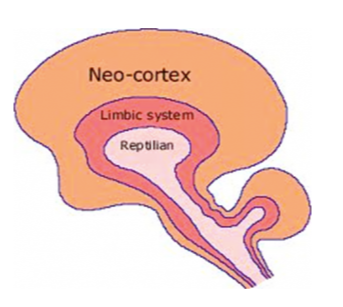스크린샷 2016-11-21 오후 7.26.28.png