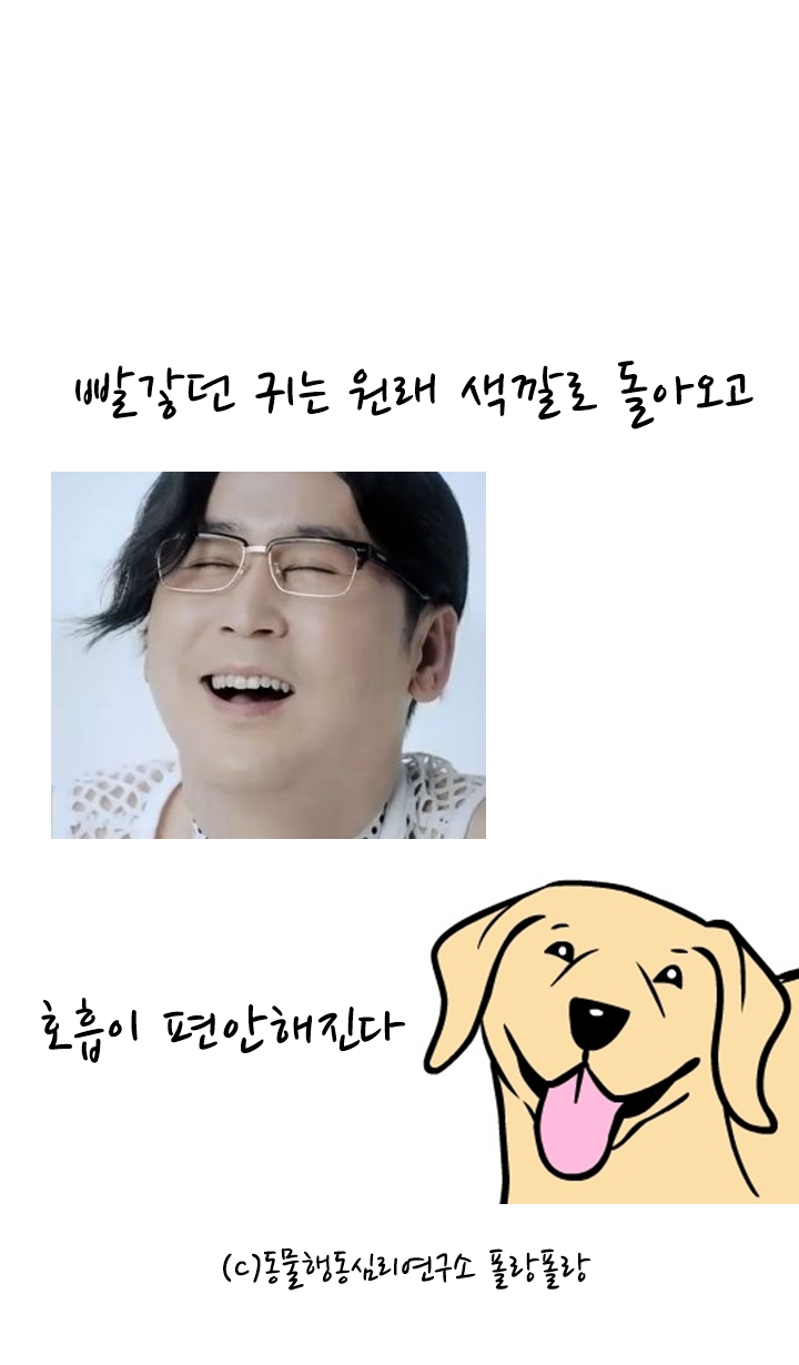 폴랑폴랑 카밍시그널 신동엽 7.png