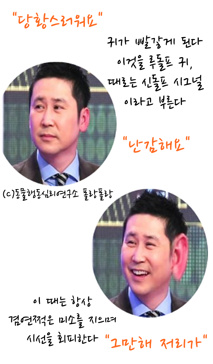 폴랑폴랑 카밍시그널 신동엽 4.png