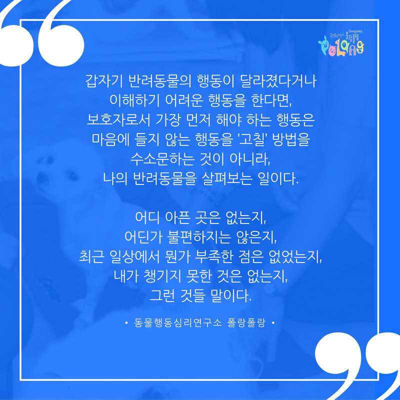 동물행동심리 폴랑폴랑 반려견 건강과 행동 20160819.png