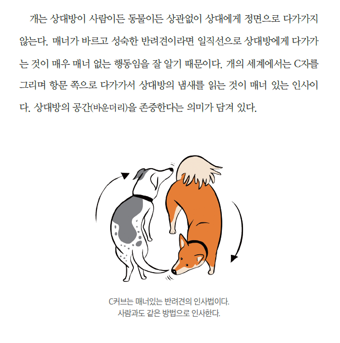 시니어 반려견 1 동물행동심리연구소 폴랑폴랑.png