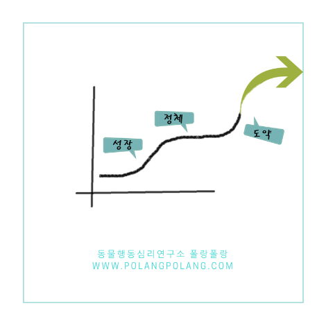 동물행동심리연구소 폴랑폴랑 강아지 고양이 학습곡선.png