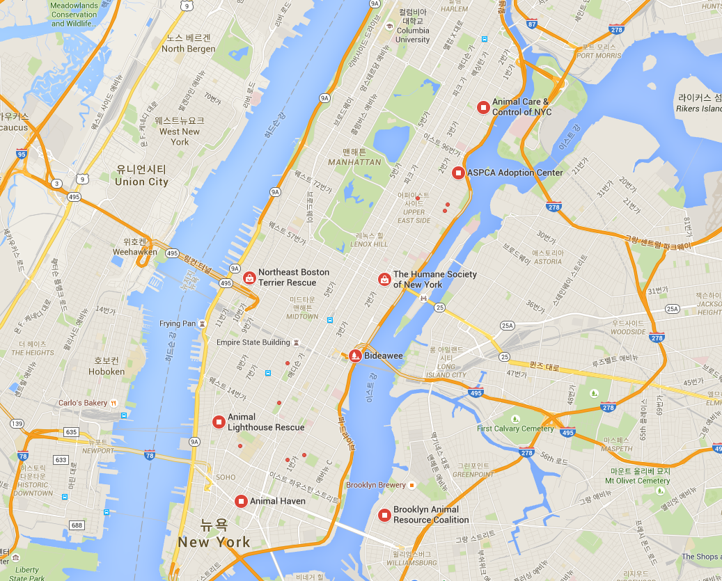 뉴욕 지도.png