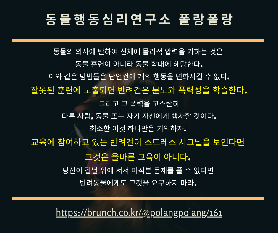 동물행동심리연구소 폴랑폴랑_반려견_공격_2.png