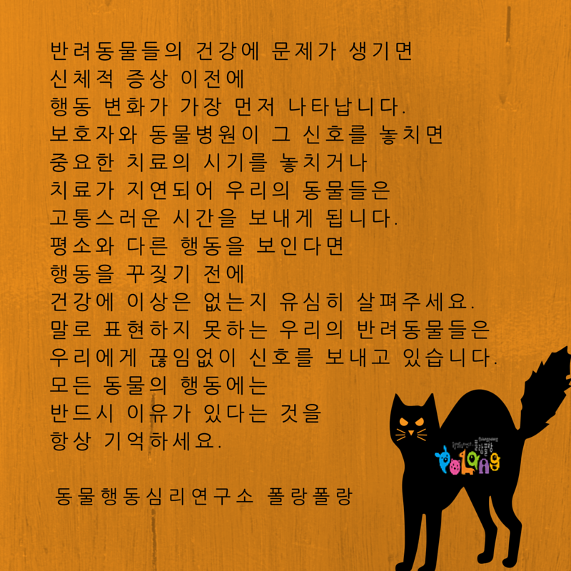 동물행동심리연구소 폴랑폴랑 건강 행동 20160616.png