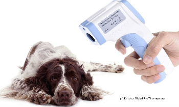 [폴랑폴랑] Decdeal Digital Pet Thermometer.png