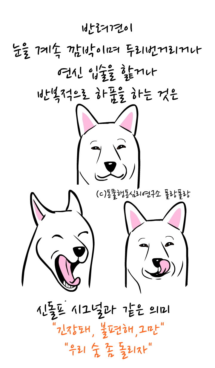 폴랑폴랑 카밍시그널 신동엽 5.png