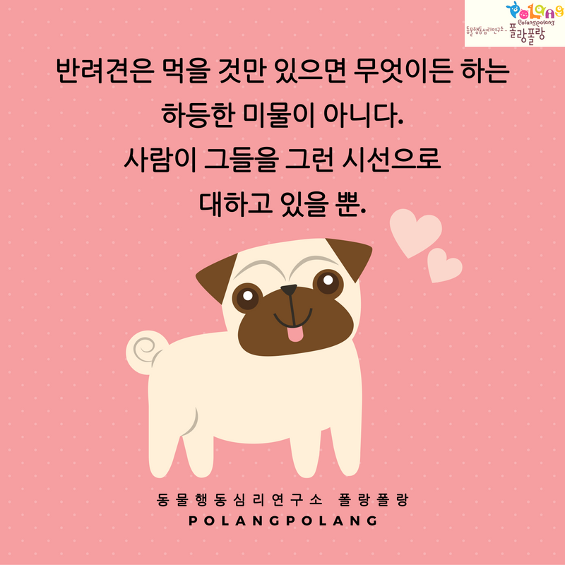 폴랑폴랑 반려견 간식 polangpolang.png