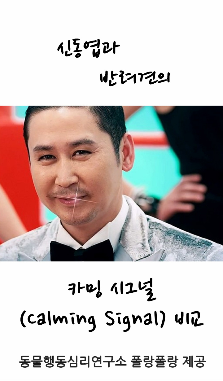 폴랑폴랑 카밍시그널 신동엽 0.png