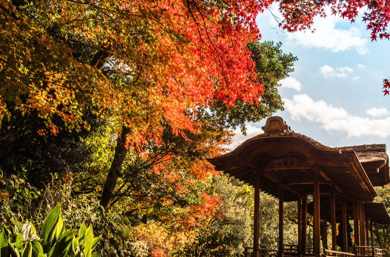 스크린샷 2024-08-21 12.31.26.png