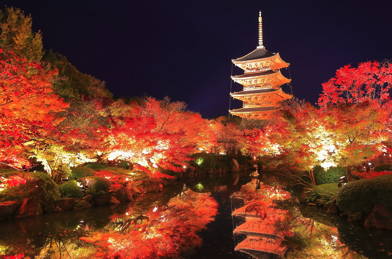 스크린샷 2024-08-21 12.26.22.png