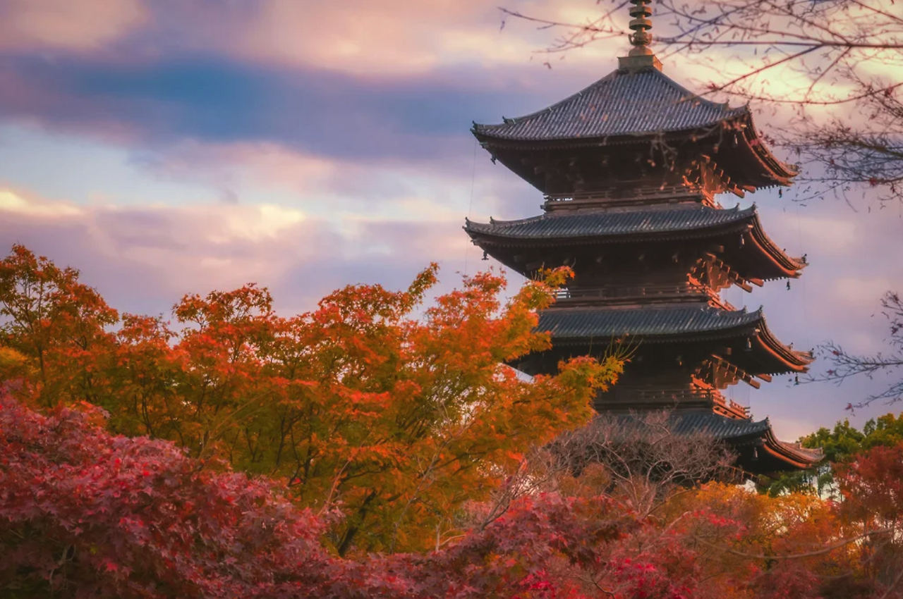 스크린샷 2024-08-21 12.26.17.png