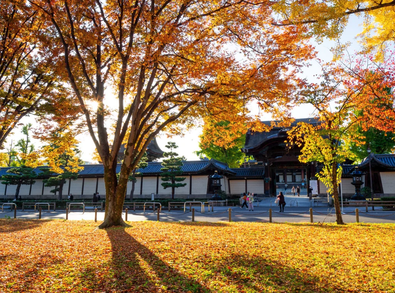 스크린샷 2024-08-21 12.31.22.png