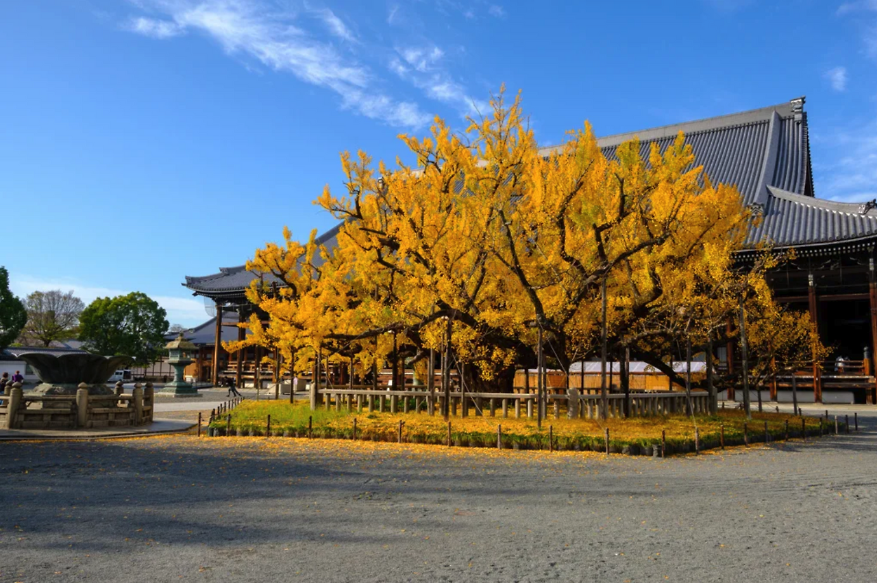 스크린샷 2024-08-21 12.28.53.png