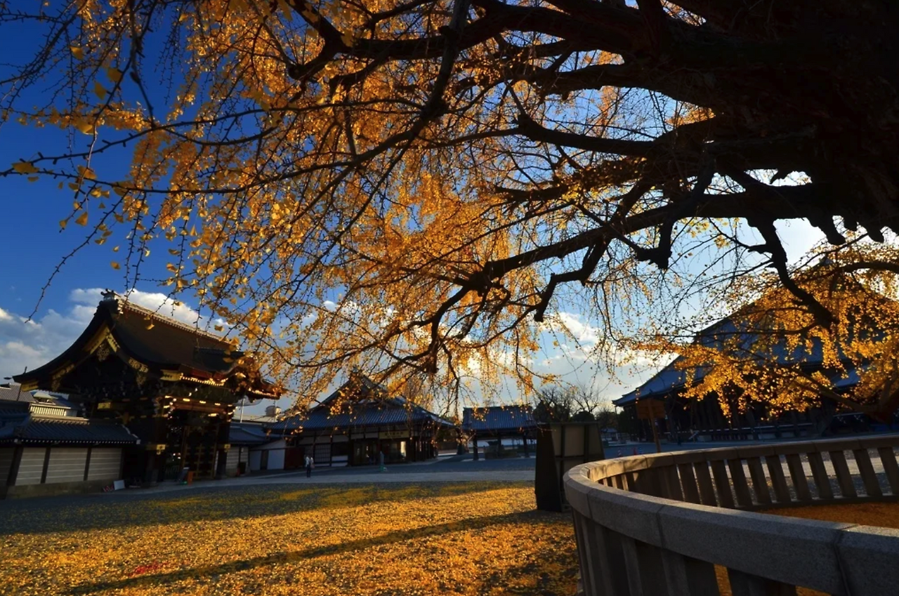 스크린샷 2024-08-21 12.28.57.png