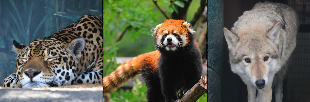 스크린샷 2024-09-03 00.50.45.png