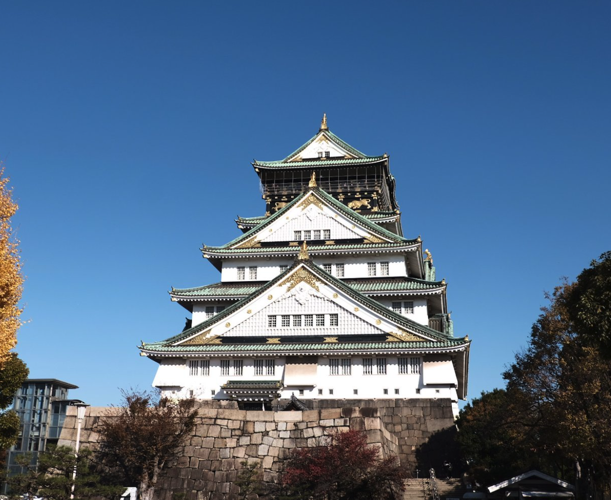 스크린샷 2024-09-03 00.54.00.png