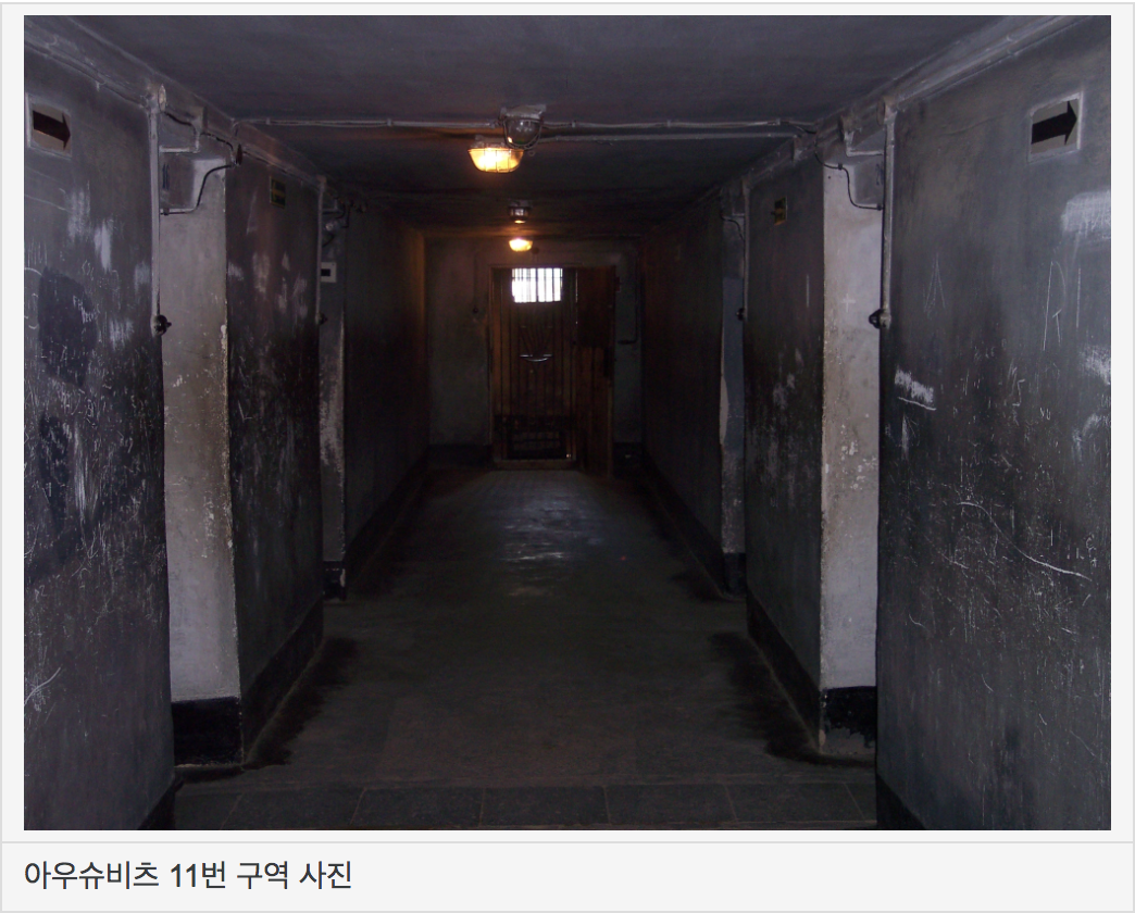 아우슈비츠 가스실.png