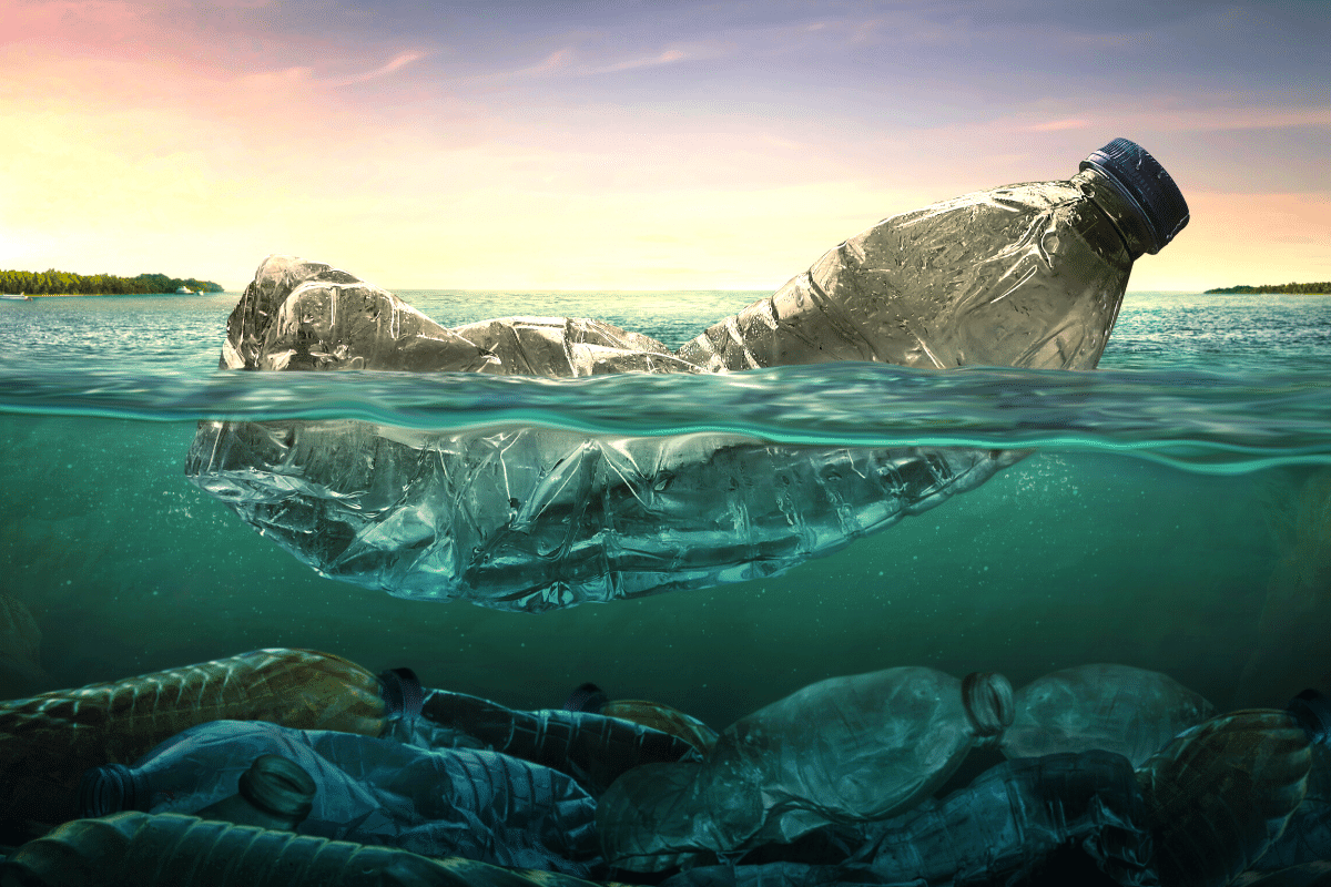 환경과 지속가능한 미래 - 사락포스트