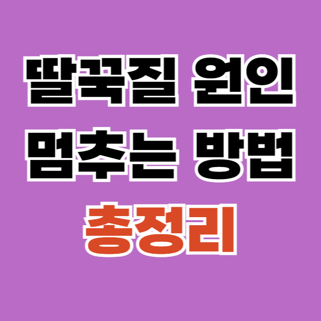 제목을 입력해주세요_-001 (70).png