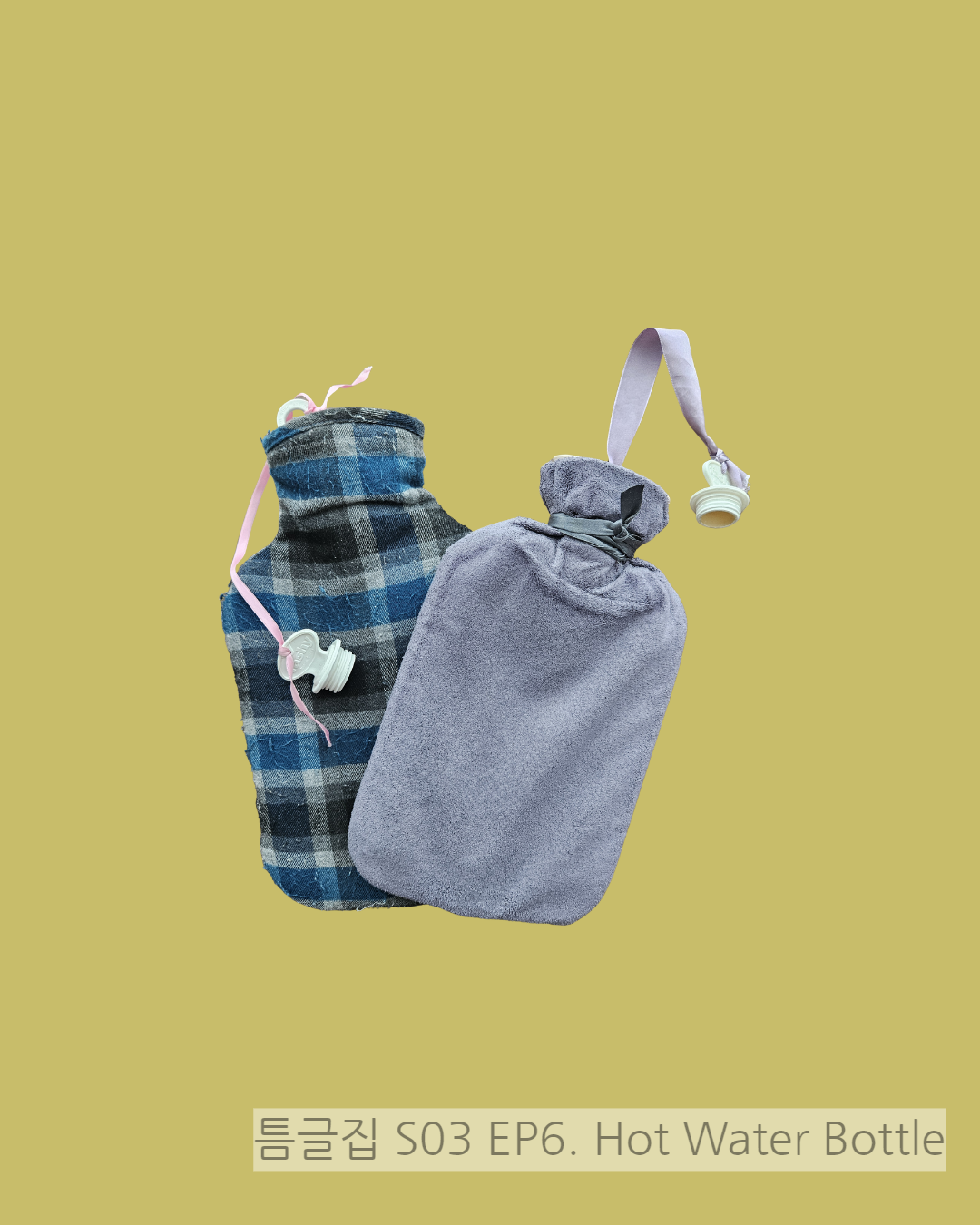 틈글집3 연재 누끼 이미지.png