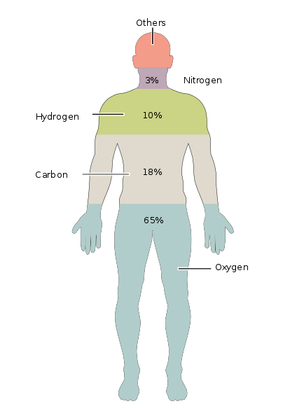 424px-201_Elements_of_the_Human_Body.02.svg.png