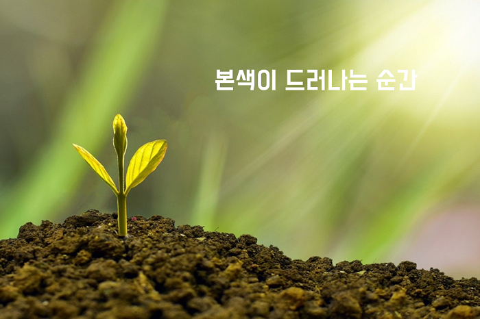 본색이 드러나는 순간.png