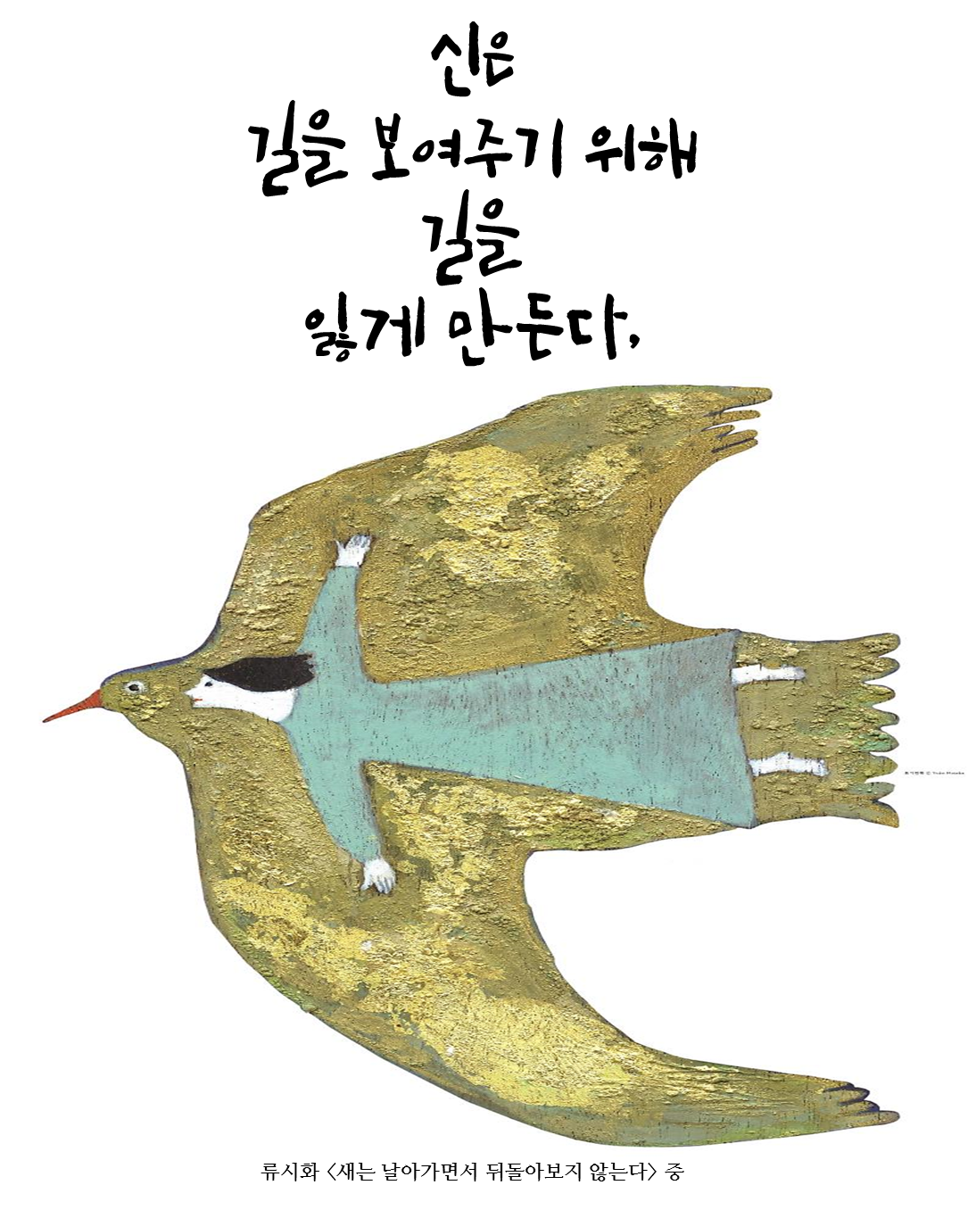 류시화 새는 날아가면서 뒤돌아보지 않는다.png