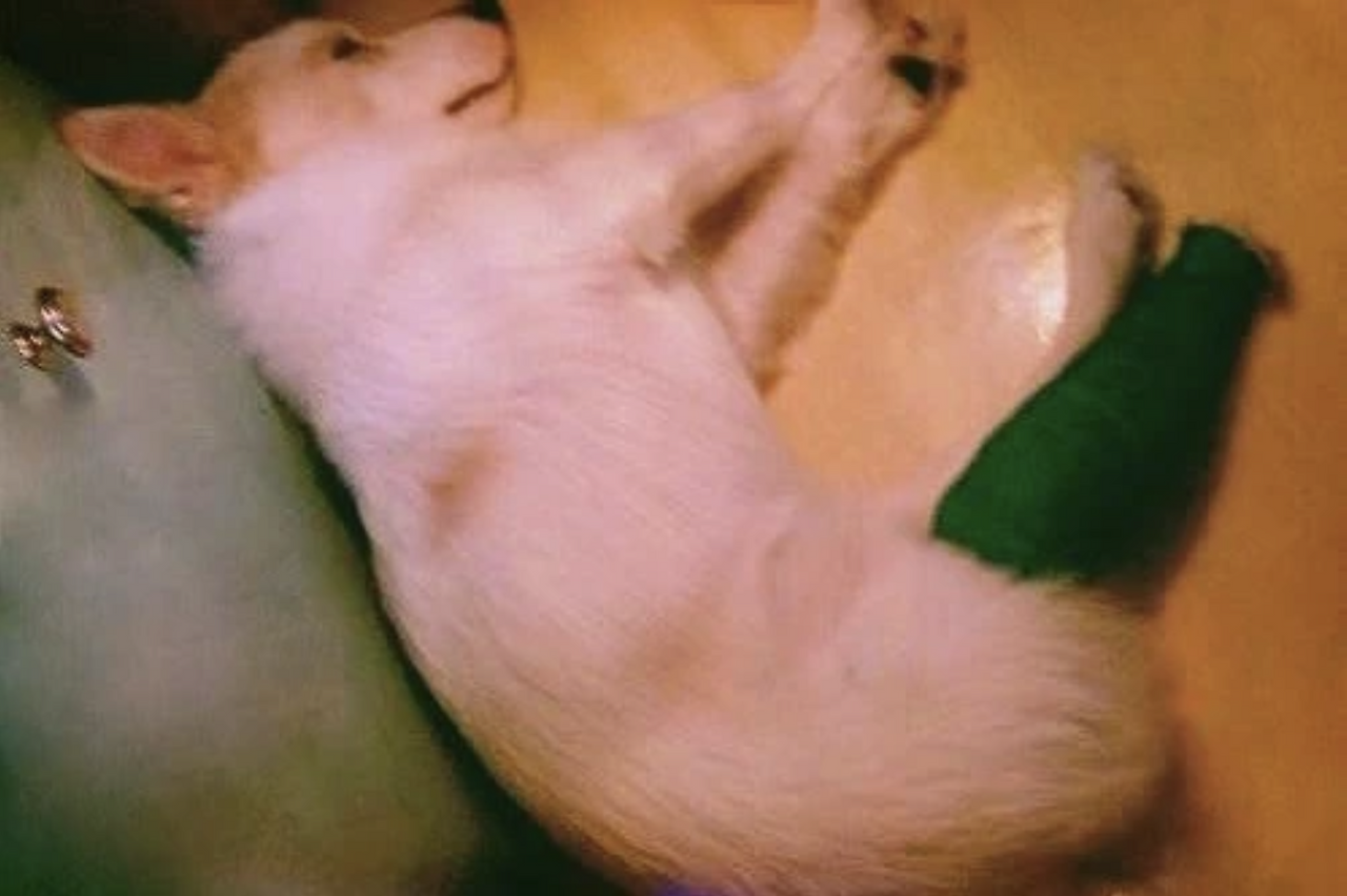 스크린샷 2025-11-12 오후 6.42.55.png