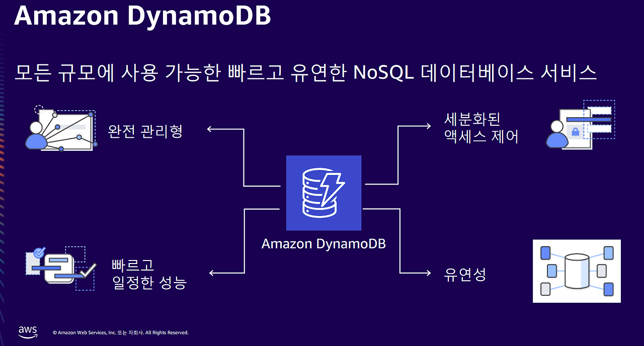 30 다이나모디비.png