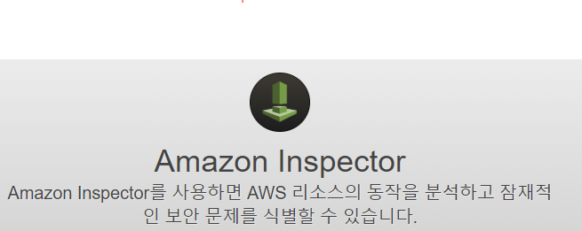 10 인스펙터 에이전트.png