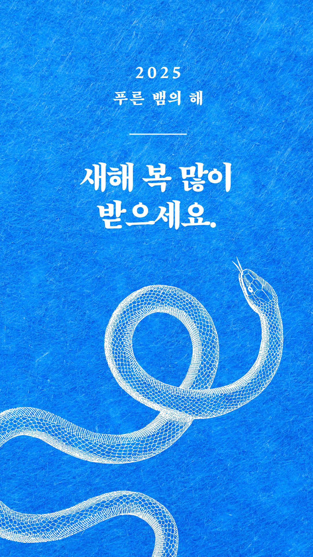 새해 인사 인스타그램 릴스.png