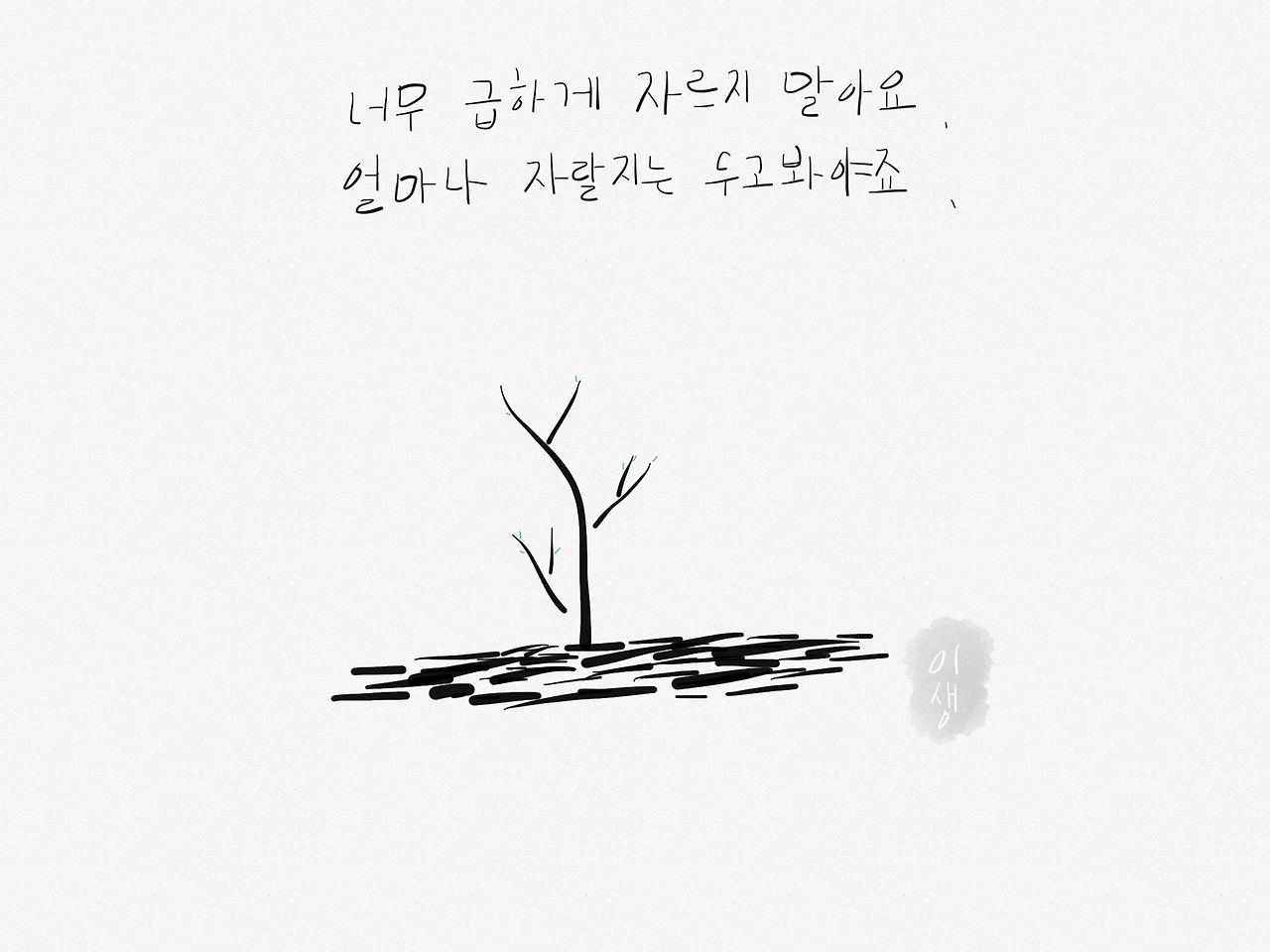 나무.png