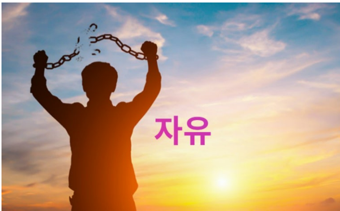 화면 캡처 2025-11-29 201518.png
