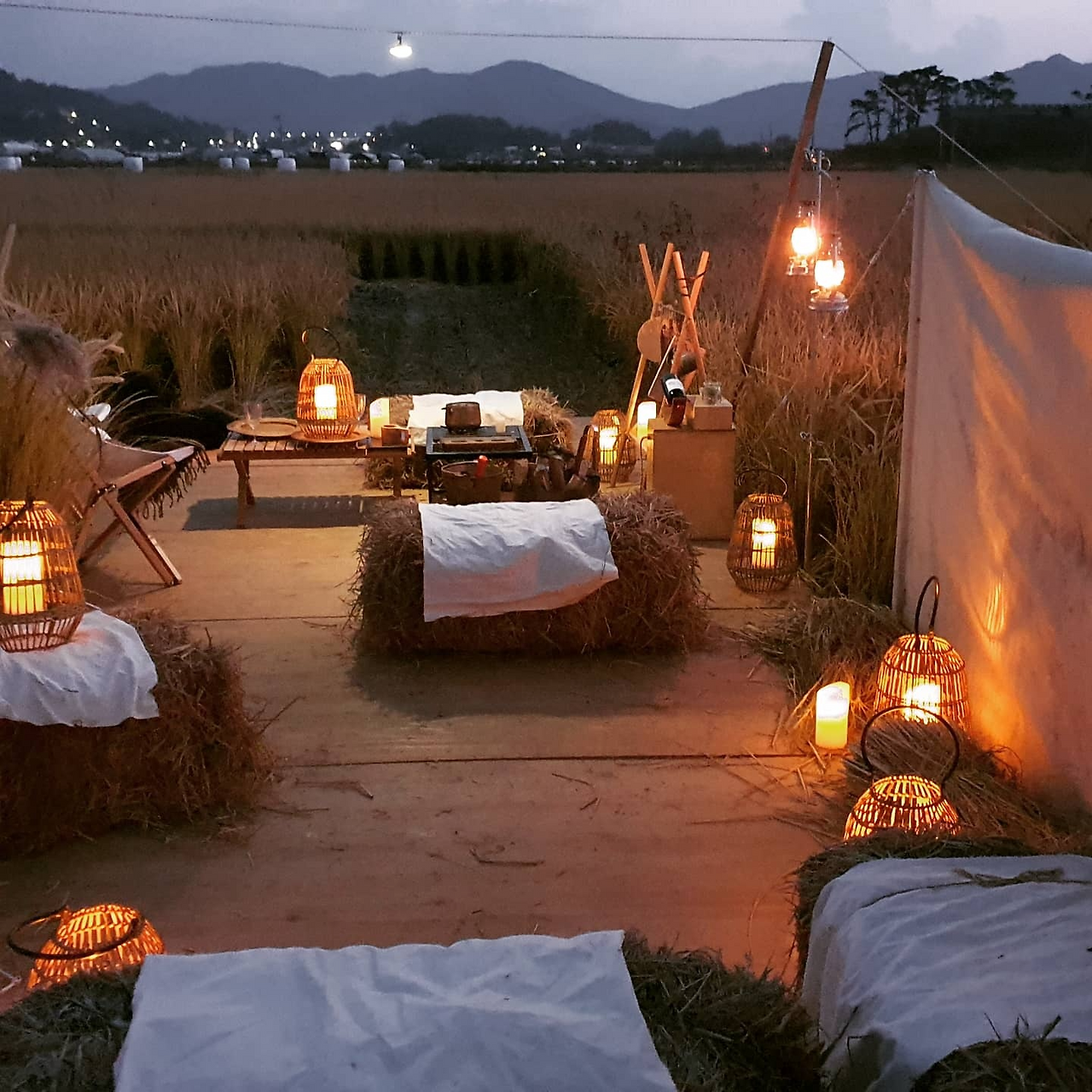 늑대와 춤을3.png