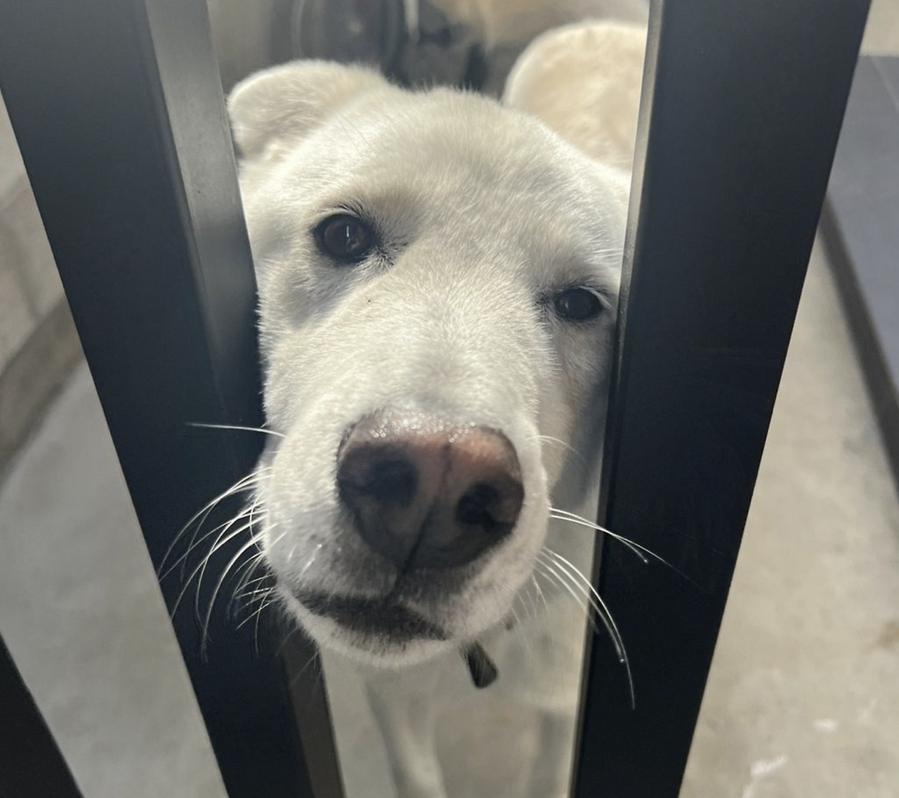 스크린샷 2025-11-29 오후 8.42.28.png