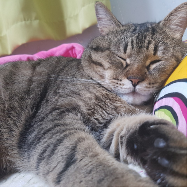 이민정 사진4.png