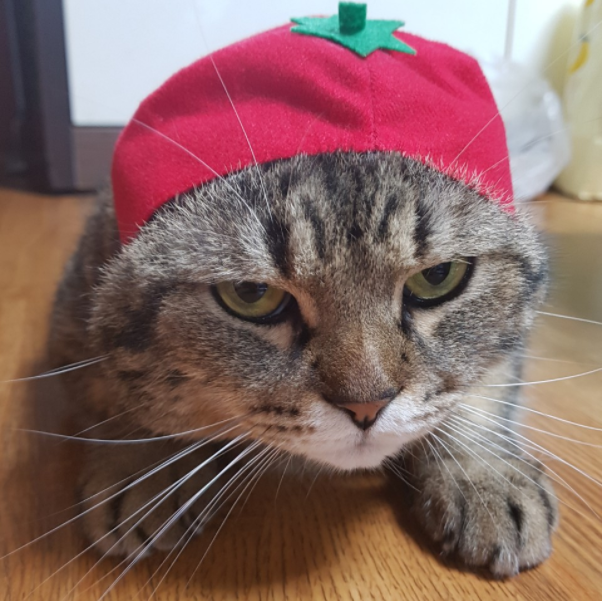 이민정 사진1.png