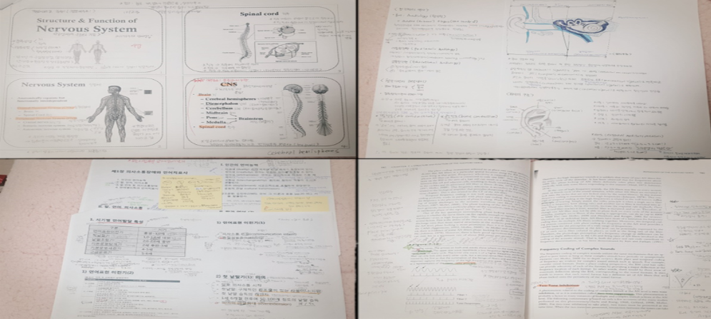 안서경 사진1.png